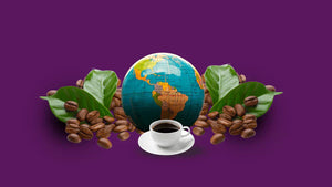 Passport in a Cup: What is Single Origin Coffee?