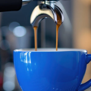 Zephyr Coffee Co