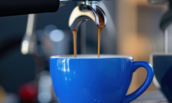 Zephyr Coffee Co