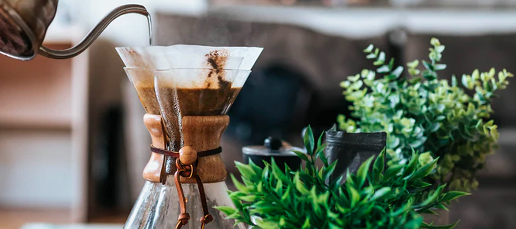 Chemex Coffee Makers 