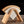 Coffee Paper Filter Holder Wooden