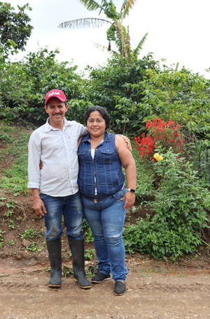 Society Coffee Colombia Coffee Competition Coffee- Villa Betulia Ombligon Washed