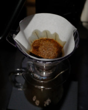 Slow Coffee Petit Délice | Ethiopia
