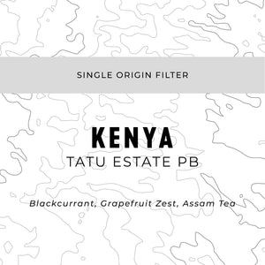 Espresso Workshop Kenya Tatu Estate PB