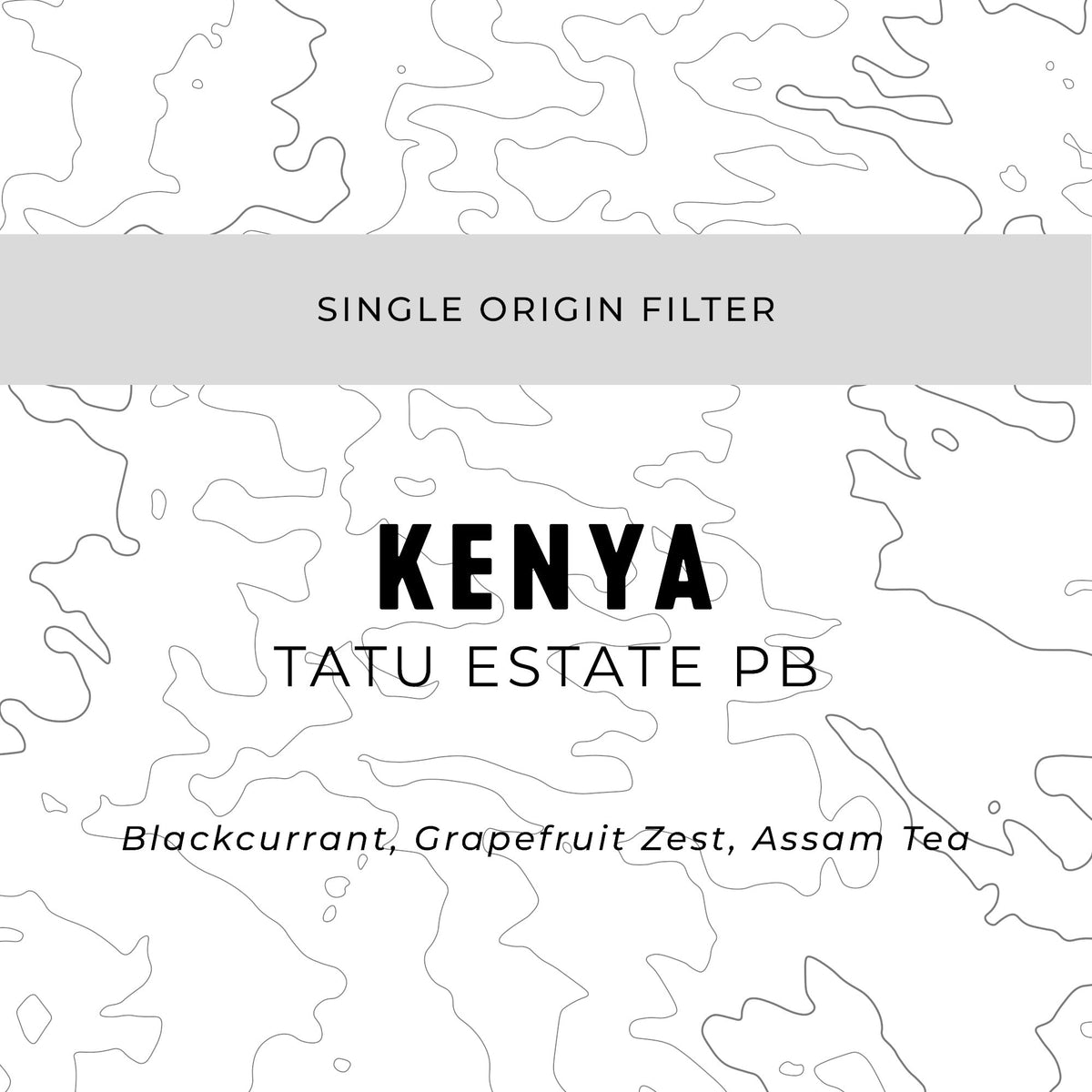 Espresso Workshop Kenya Tatu Estate PB