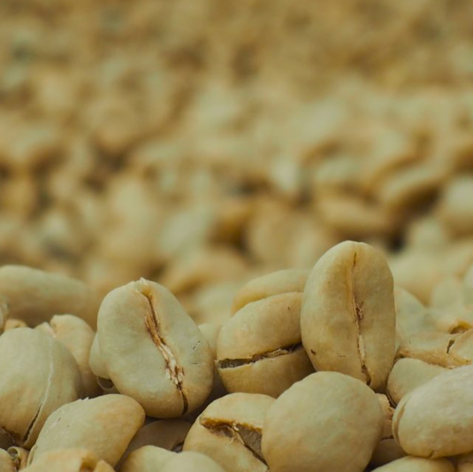 Society Coffee Ethiopia Single Origin-  Yirgacheffe Banko Taratu