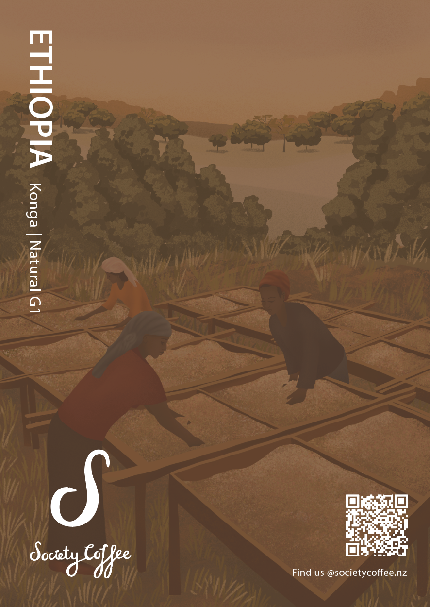 Society Coffee Ethiopia Coffee Single Origin - Konga Natural G1