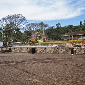 Ozone Barreiro 