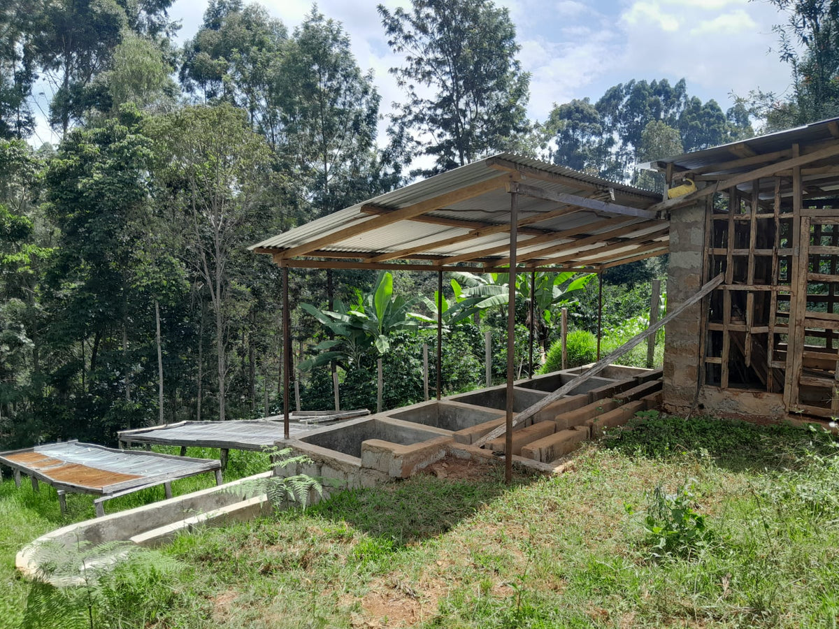 Society Coffee Kenya Coffee Single Origin-  Kenya Amurangi Nyambene AA Washed