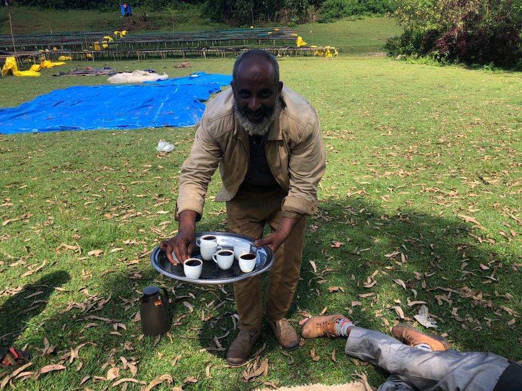 Ozone Coffee Mensur Abahika
