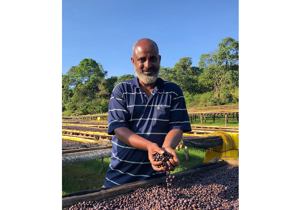 Ozone Coffee Mensur Abahika