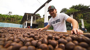 Society Coffee Colombia Coffee Competition Coffee- El Placer Special Anaerobic Honey Pink Bourbon