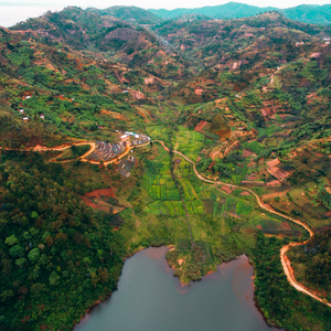 Flight Coffee Rwanda - Kilimbi - Natural