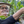 Society Coffee Colombia Coffee Single Origin - El Indio Natural