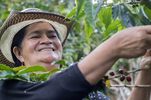 Society Coffee Colombia Coffee Single Origin - El Indio Natural