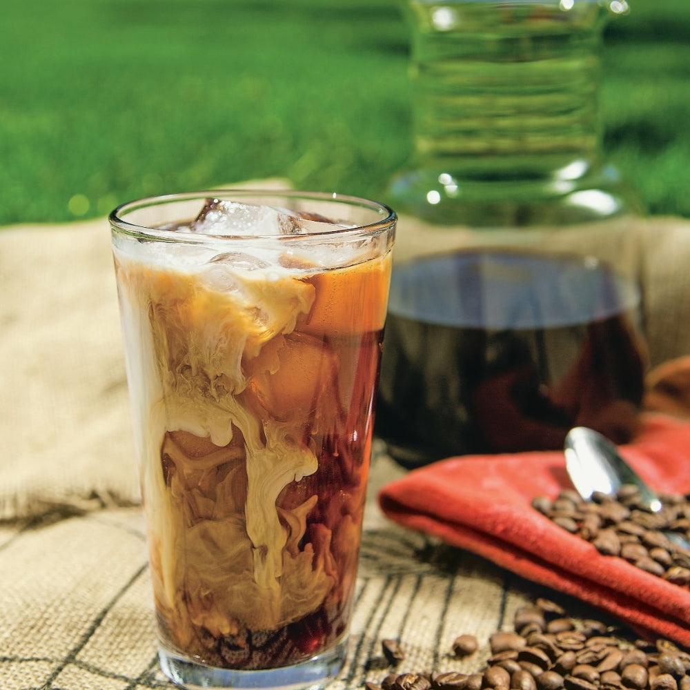 Cold brew coffee toddy hot sale