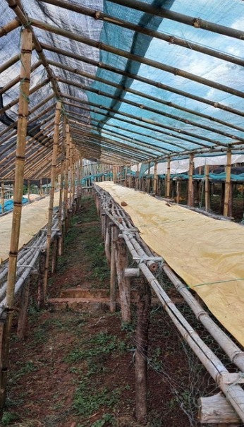 Meebz Coffee Ethiopia Gargari - Natural Berry | Berry Blast