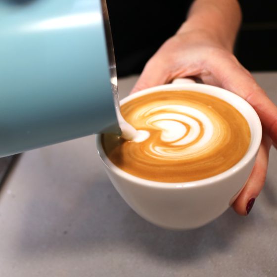 Rhino Classic Colour Milk Pitcher 450ml