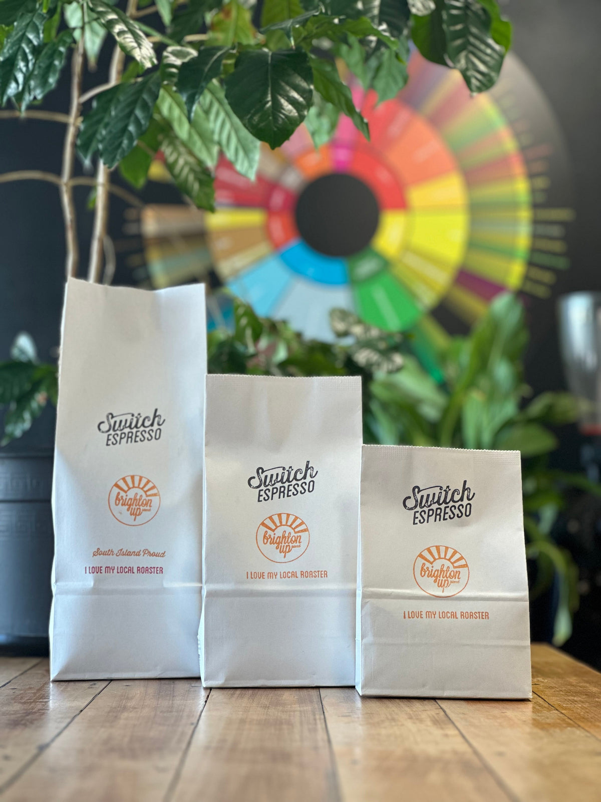 Switch Espresso Brighton Up Blend