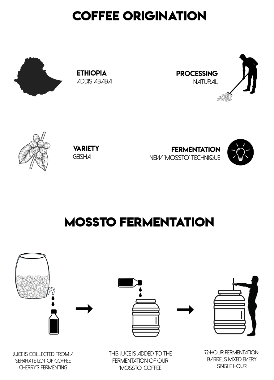 Meebz Coffee Ethiopia Geisha - Gesha Village RSV4,  Mossto Fermentation